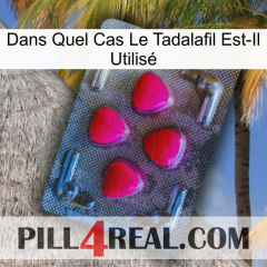 Dans Quel Cas Le Tadalafil Est-Il Utilisé 13